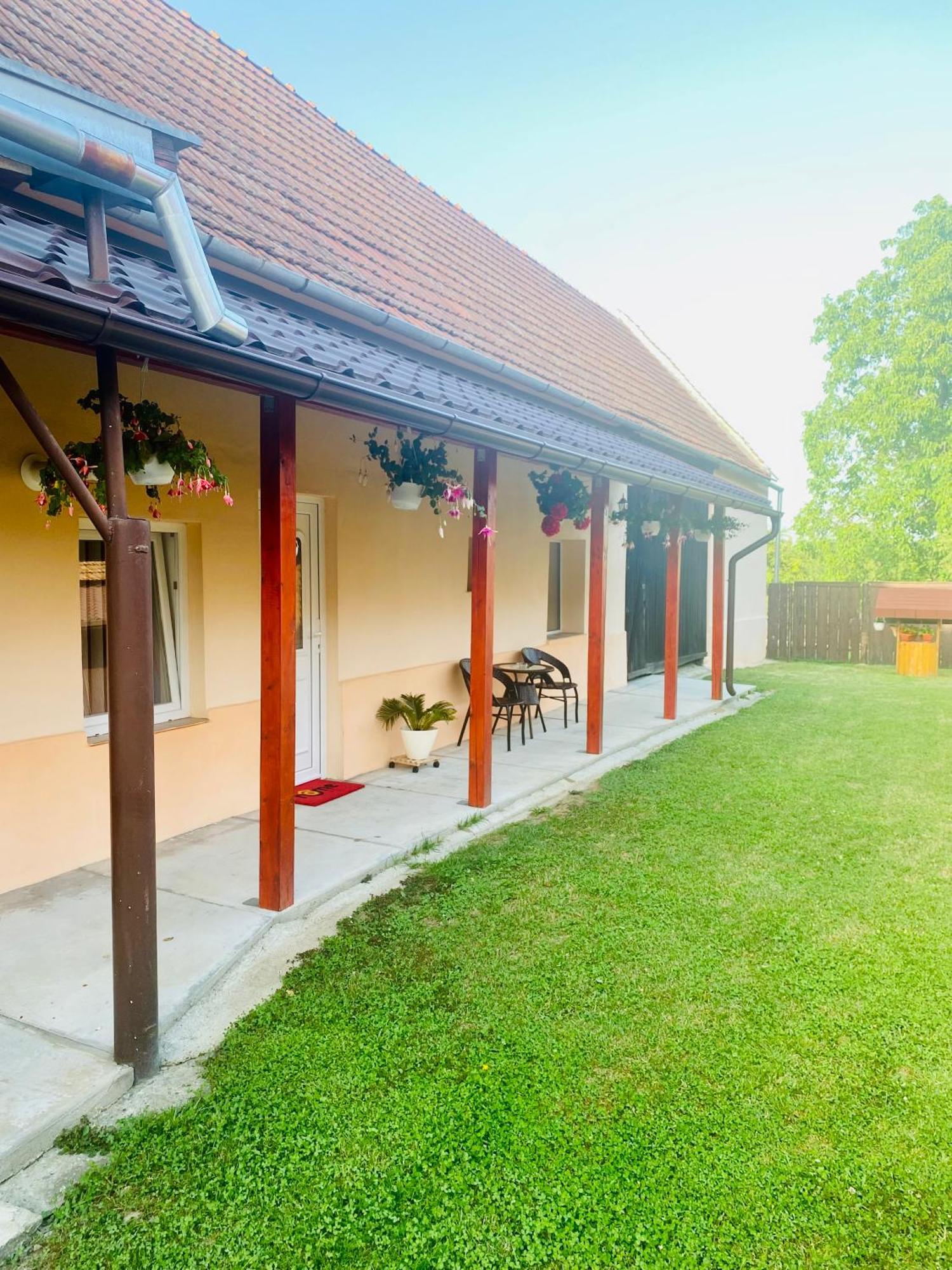 Casa Victoria Hotel Cîrţişoara Bagian luar foto